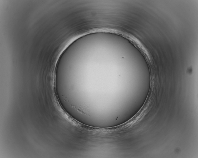 X0000095880860200801110803