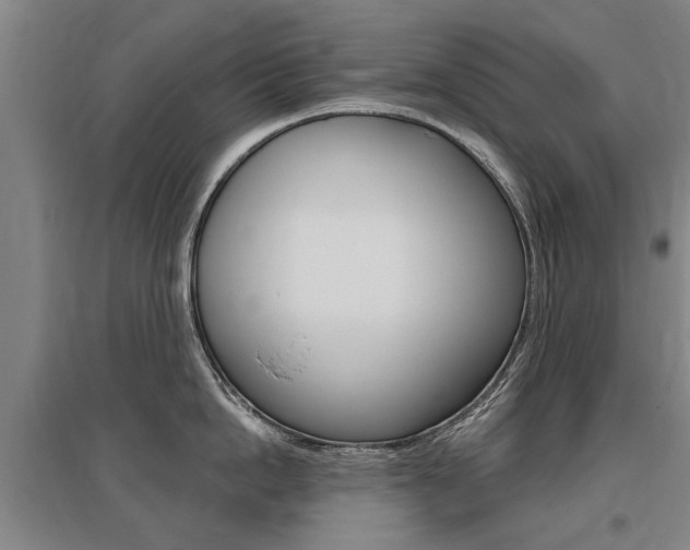 X0000095880862200801110803