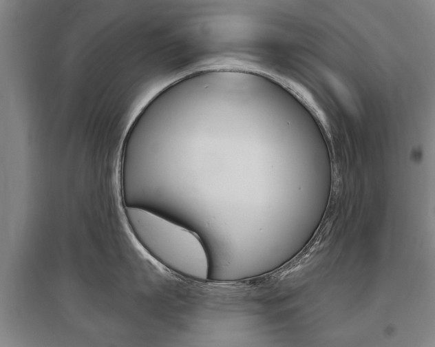 X0000095880863200801110803