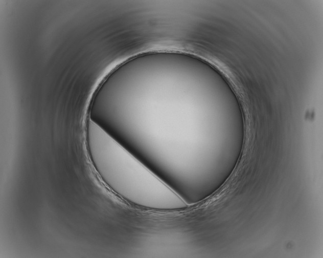 X0000095880864200801110803