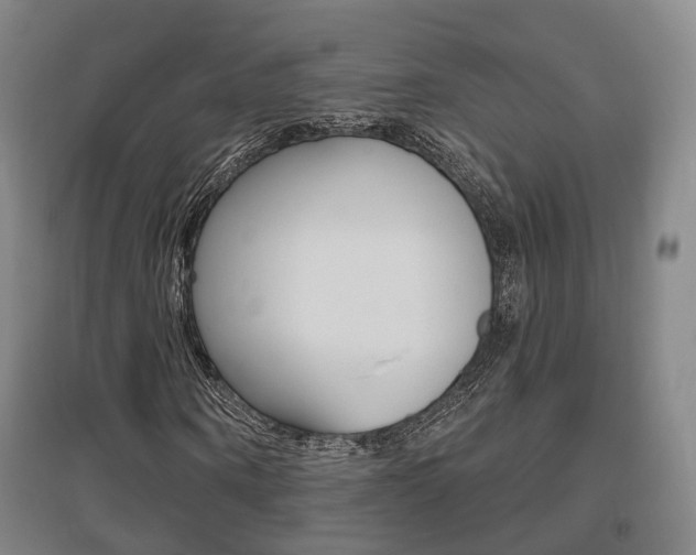 X0000095880866200801110802