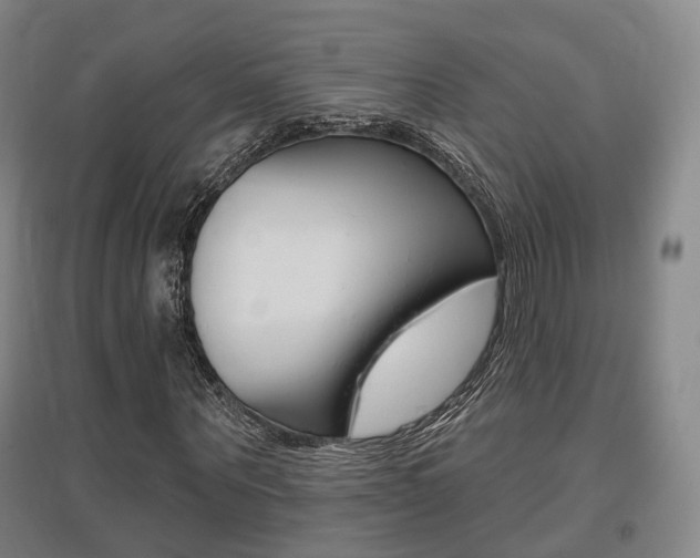 X0000095880867200801110802