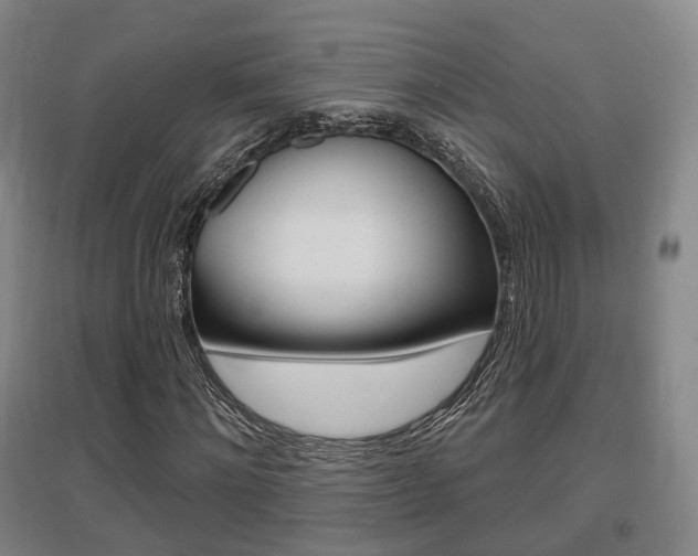 X0000095880868200801110802