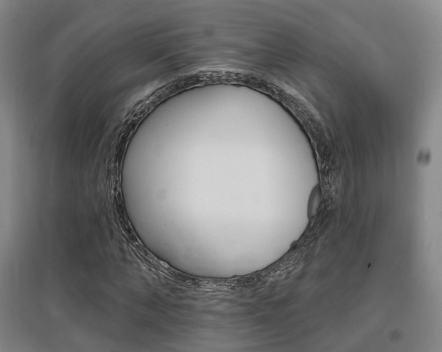 X0000095880870200801110802