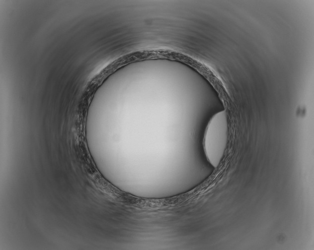 X0000095880871200801110802