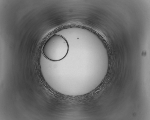X0000095880872200801110802