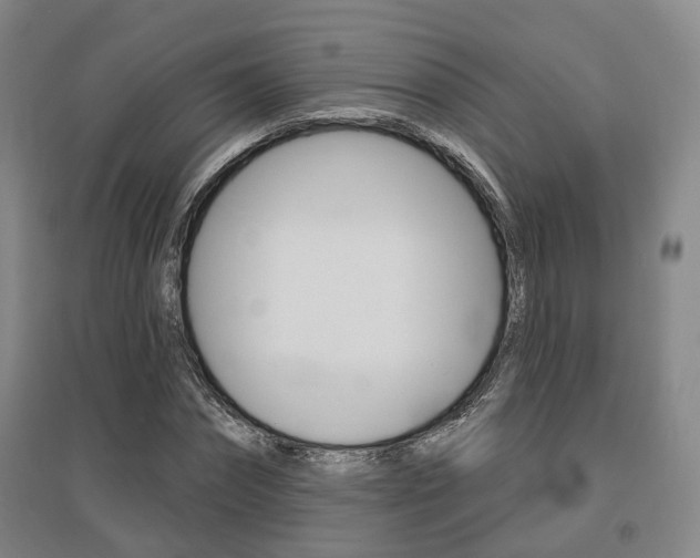 X0000095880874200801110802