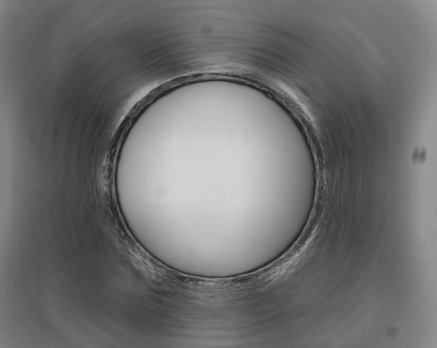 X0000095880875200801110802