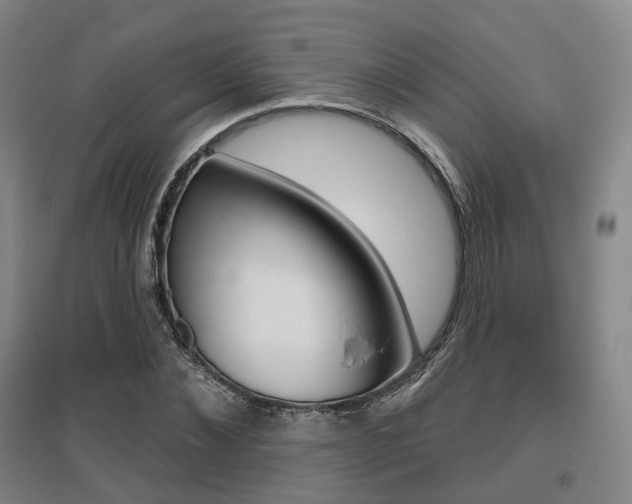 X0000095880876200801110802