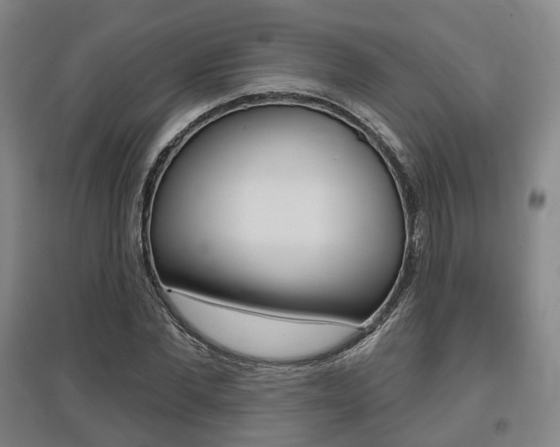 X0000095880877200801110802