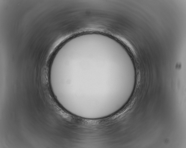 X0000095880878200801110802