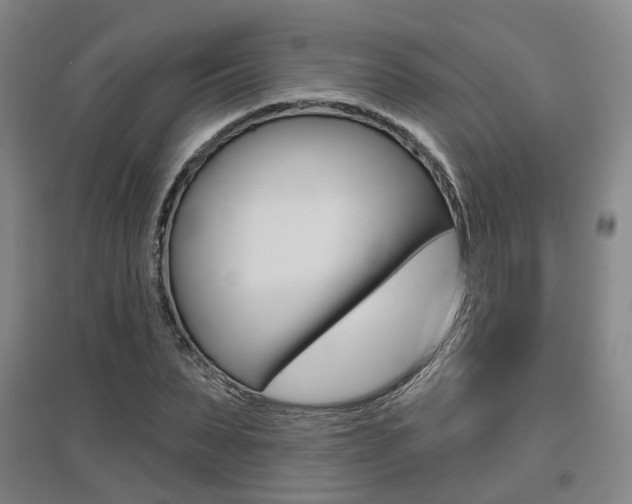 X0000095880879200801110802