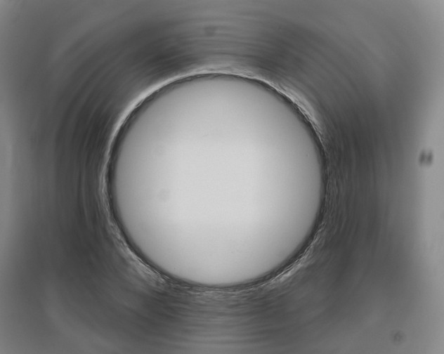 X0000095880880200801110802
