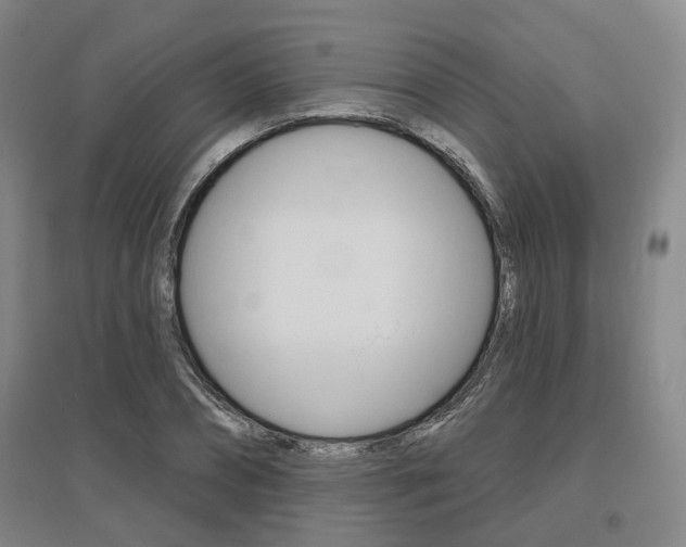 X0000095880882200801110802