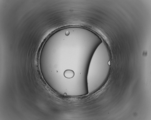 X0000095880883200801110802