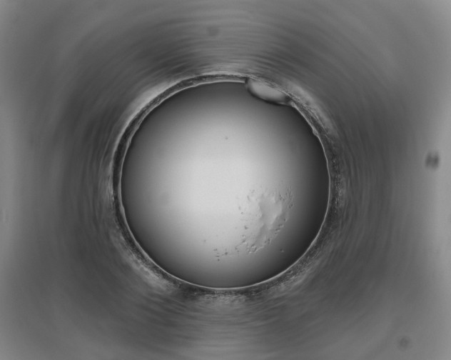 X0000095880884200801110802
