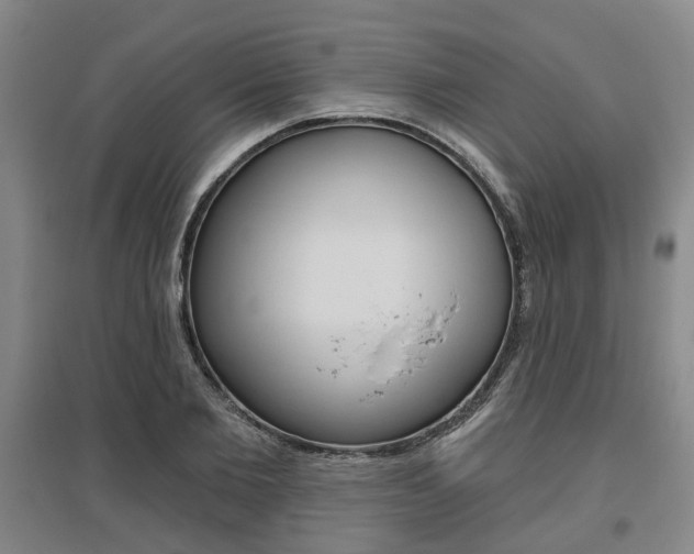 X0000095880885200801110802
