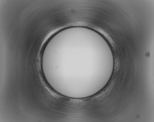 X0000095880886200801110802