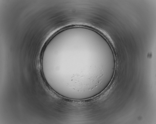 X0000095880887200801110802