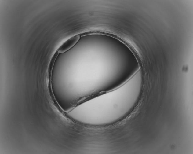 X0000095880888200801110802