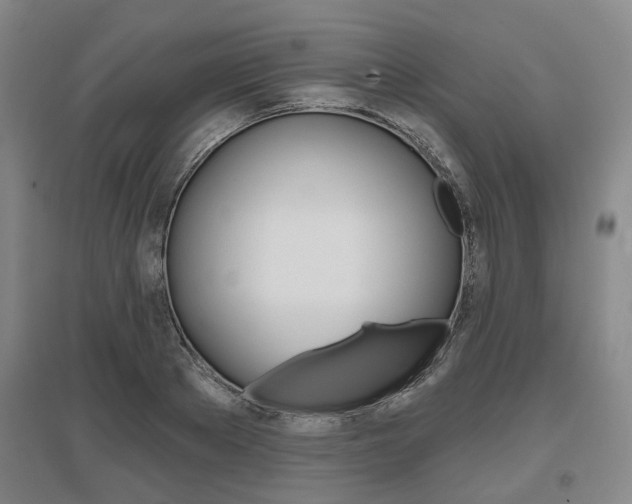 X0000095880889200801110802