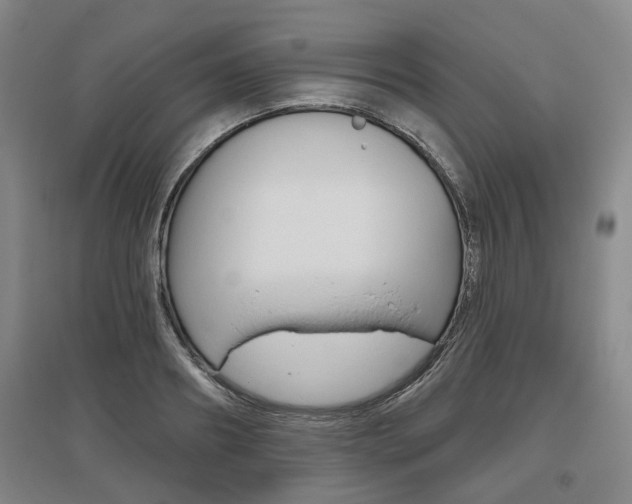 X0000095880890200801110802