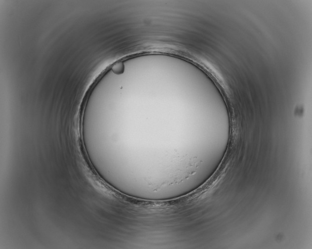 X0000095880891200801110802