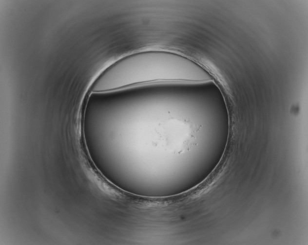 X0000095880892200801110802