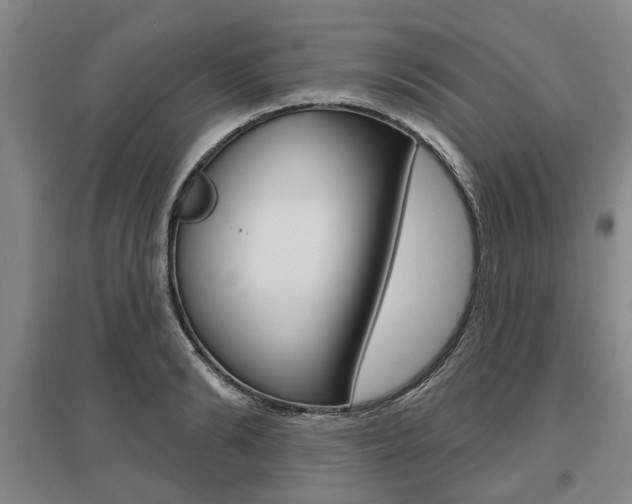 X0000095880894200801110802