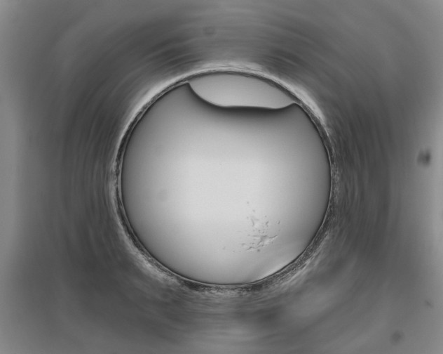 X0000095880895200801110802