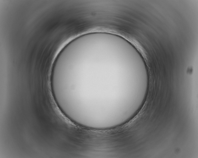 X0000095880896200801110802