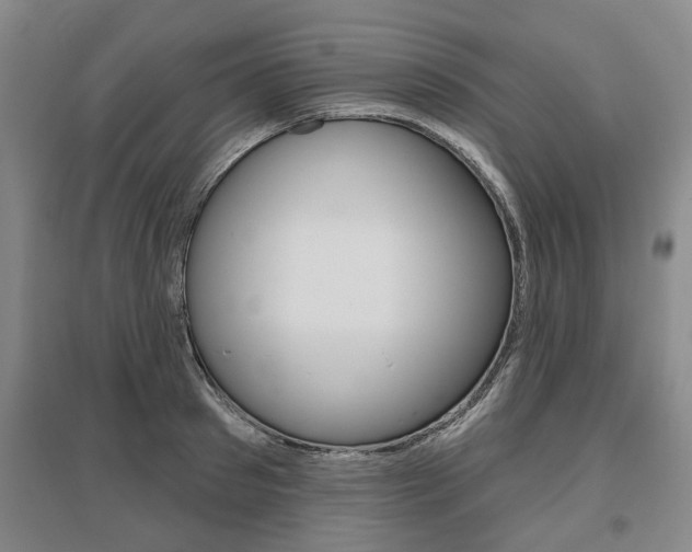 X0000095880897200801110802