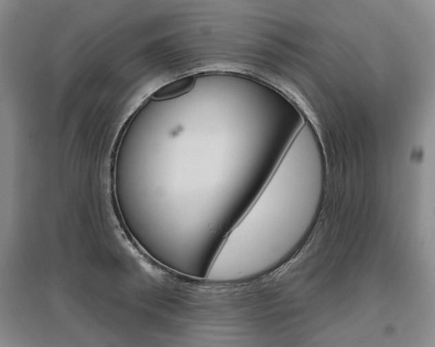 X0000095880898200801110802