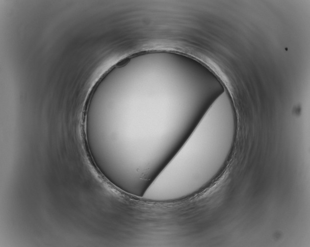 X0000095880901200801110802