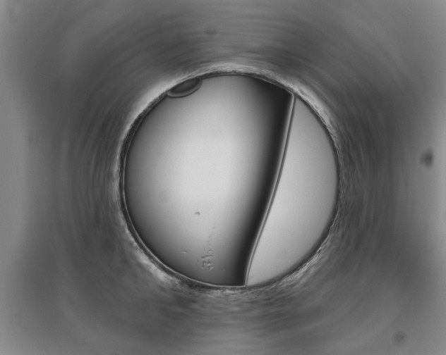 X0000095880902200801110802