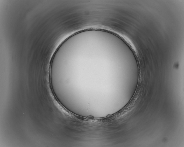 X0000095880903200801110802