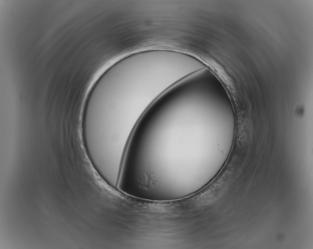 X0000095880904200801110802