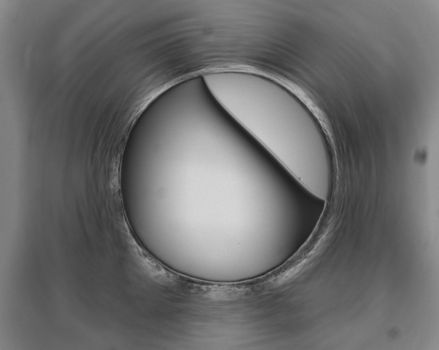 X0000095880905200801110802