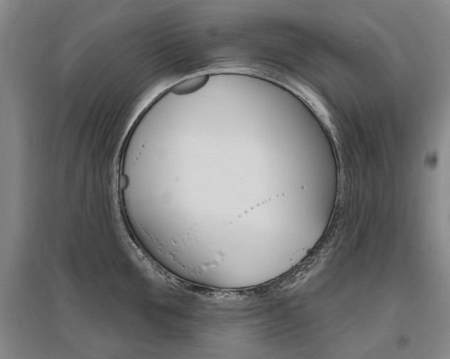 X0000095880907200801110801
