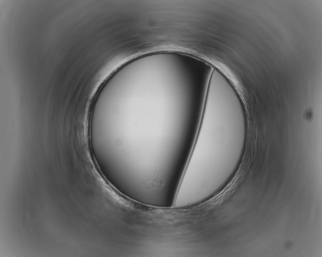 X0000095880910200801110801
