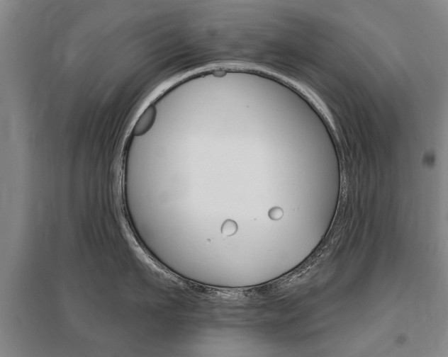 X0000095880911200801110801