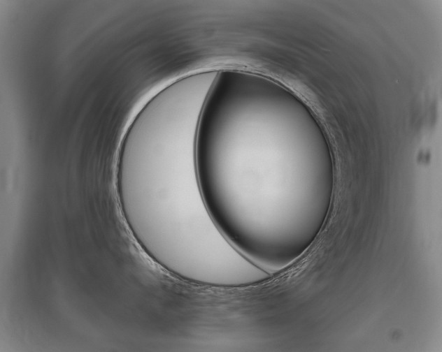 X0000095880912200801110801