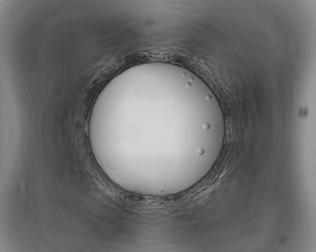 X0000095880913200801110801