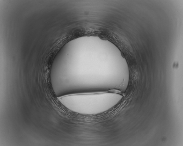 X0000095880914200801110801