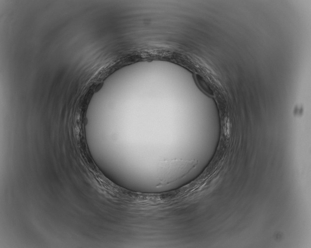 X0000095880915200801110801
