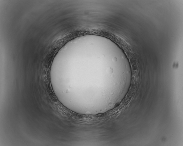 X0000095880917200801110801