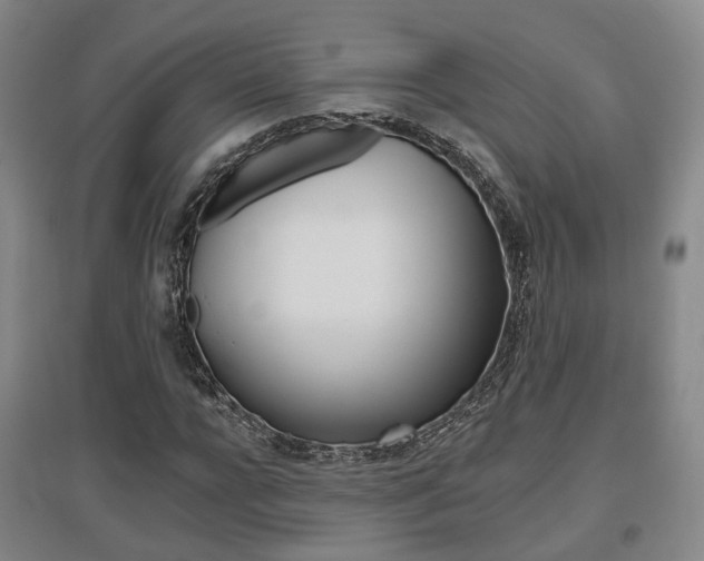 X0000095880920200801110801