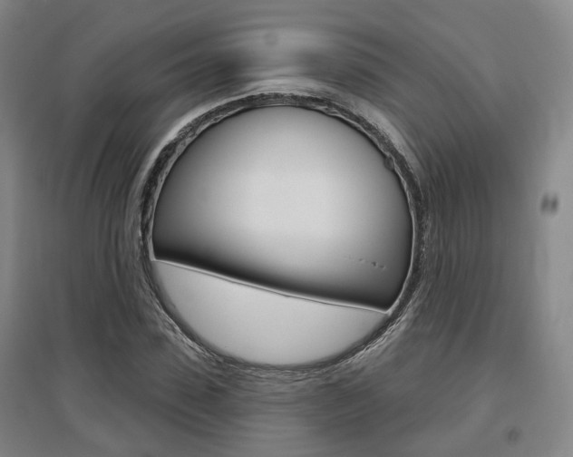 X0000095880923200801110801