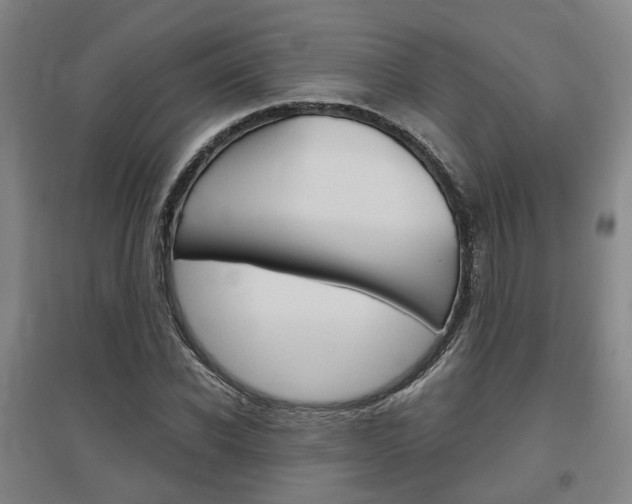 X0000095880926200801110801