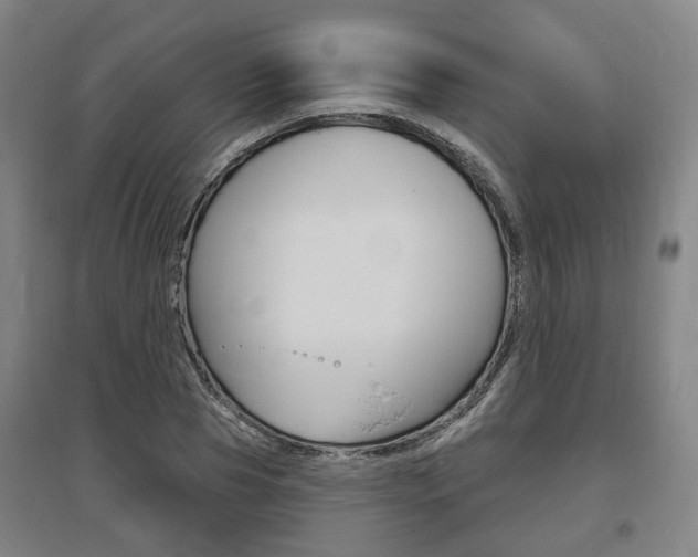 X0000095880929200801110801